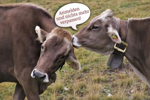 Immer auf den aktuellsten Stand bleiben!