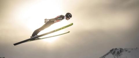 Die Könige der Lüfte