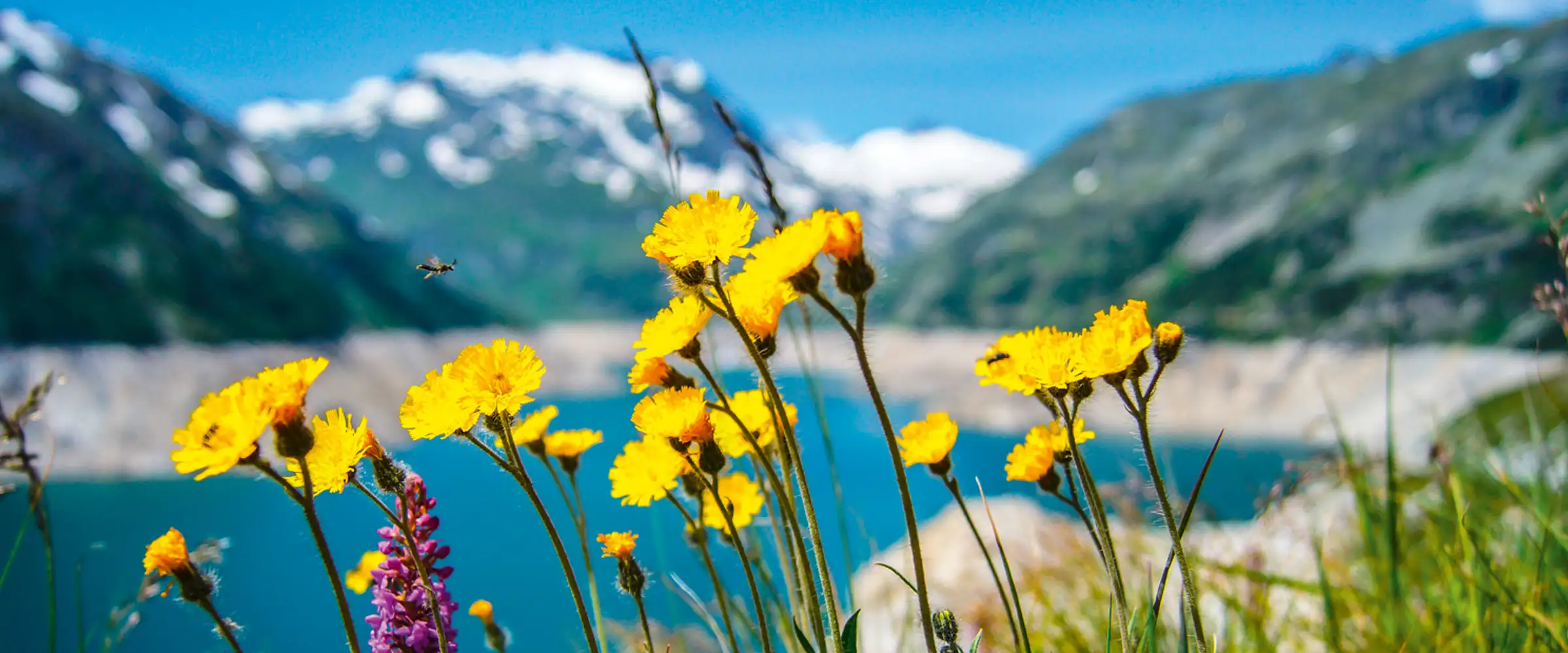 Wellnesshotel in Oberstdorf / Allgäu Wellnesshotel in Oberstdorf / Allgäu